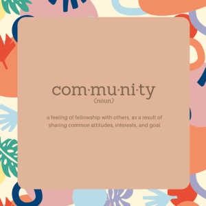 com·mu·ni·ty (noun)